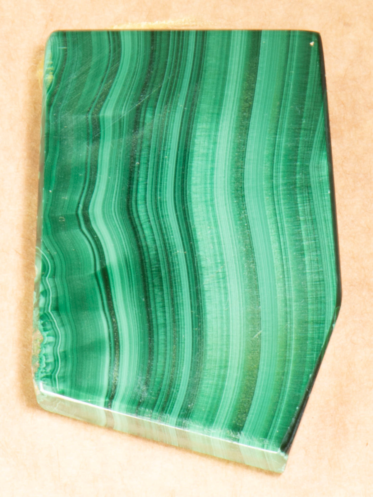 Vivid Green Banded Malachite - Congo 45mm 22g