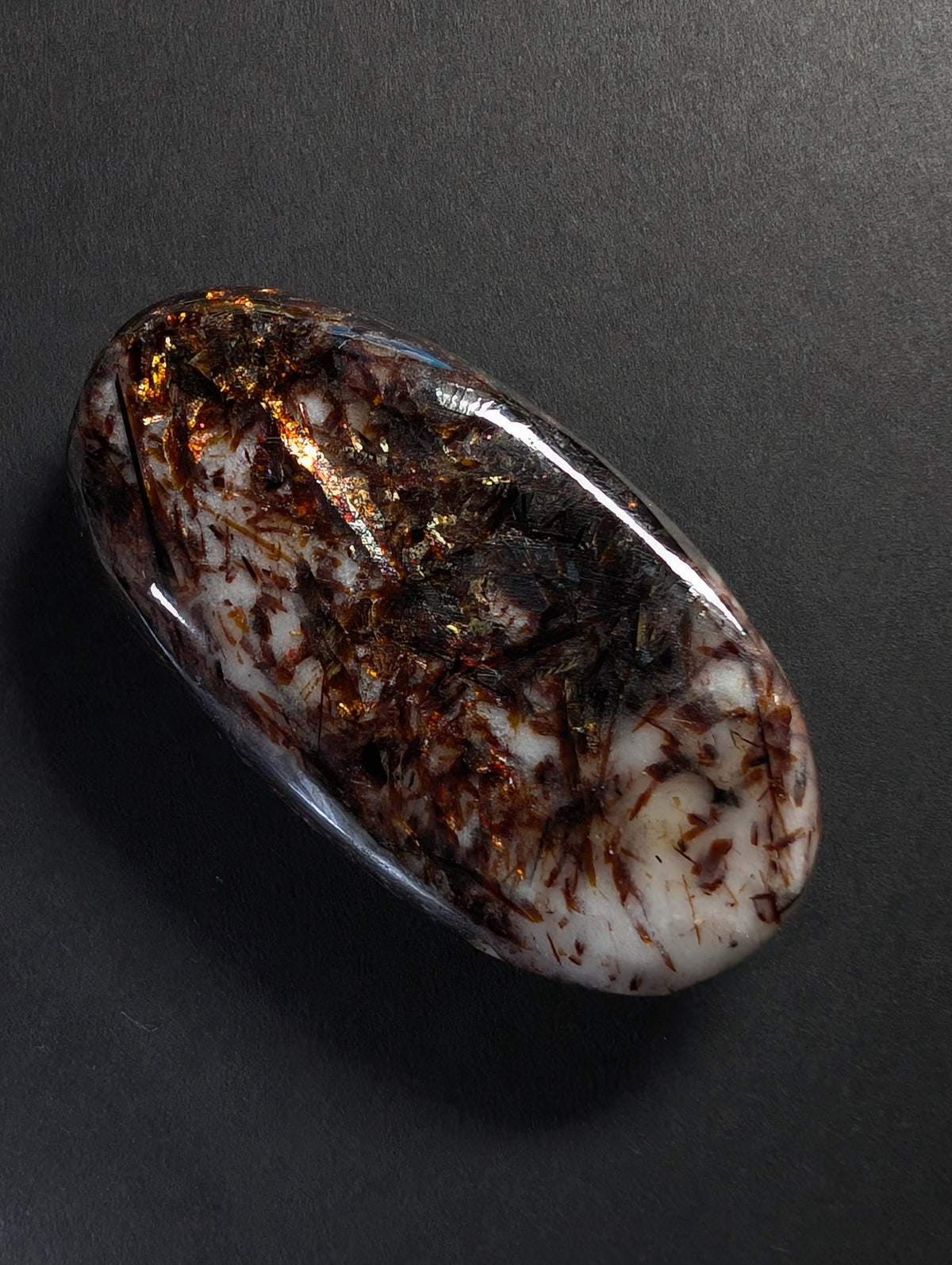 Astrophyllite Polished Stone — "Senko Hanabi" 45mm 17g